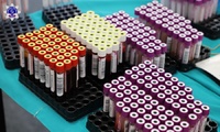 Próbki krwi w fiołkach wsadzone w czarne podstawki.