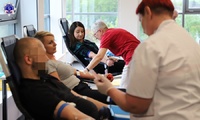 Grupa osób siedząca na fotelach oraz pielęgniarki przygotowujące ich do oddania krwi.