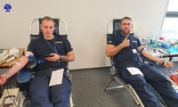 Dwóch Policjantów, siedzi obok siebie na specjalistycznych fotelach i oddają krew.